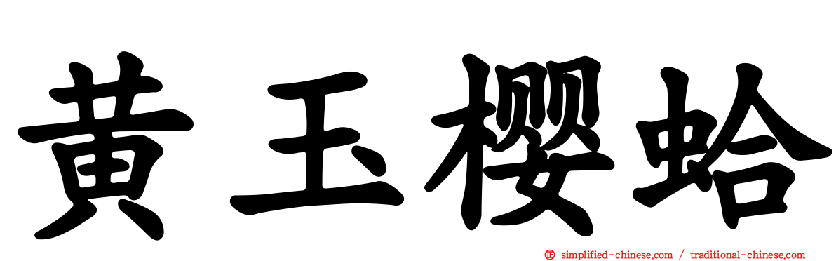 黄玉樱蛤