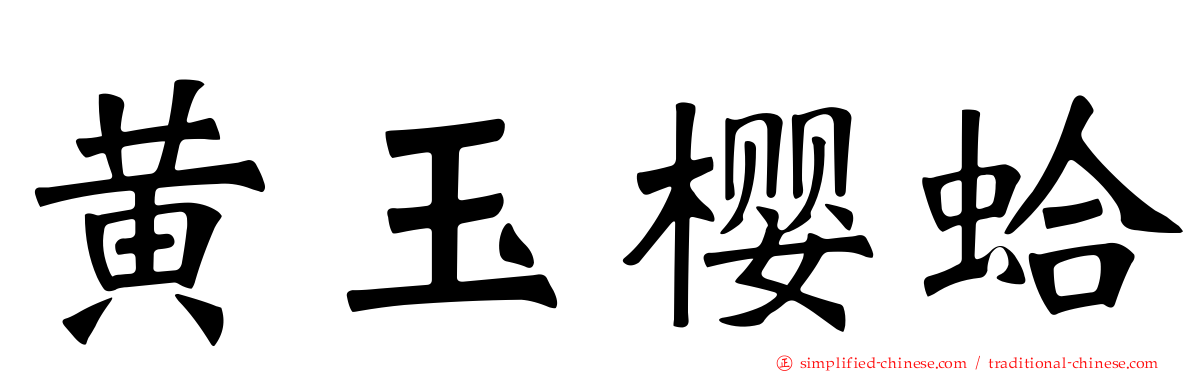黄玉樱蛤