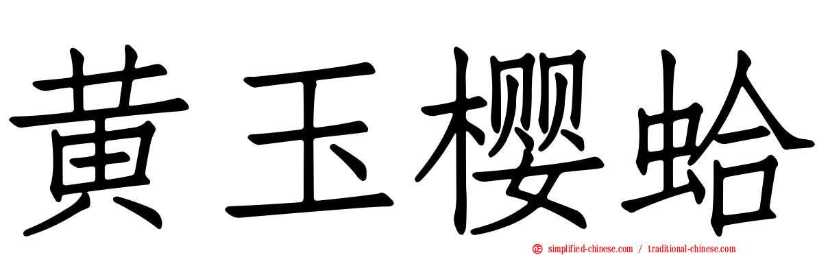 黄玉樱蛤