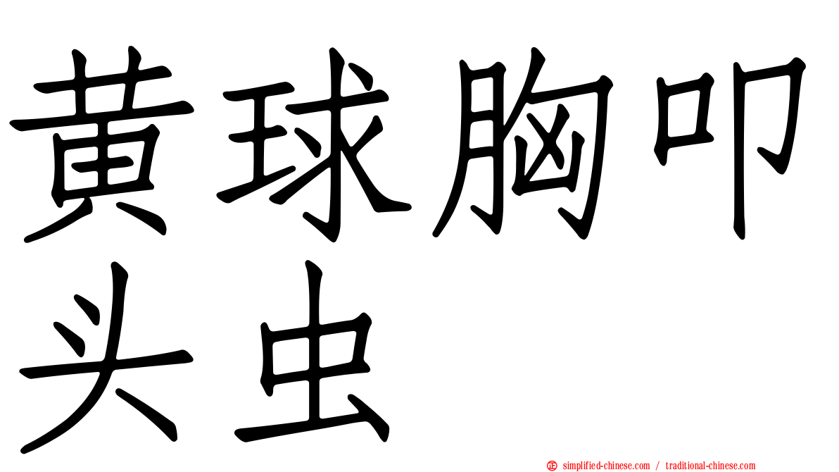 黄球胸叩头虫
