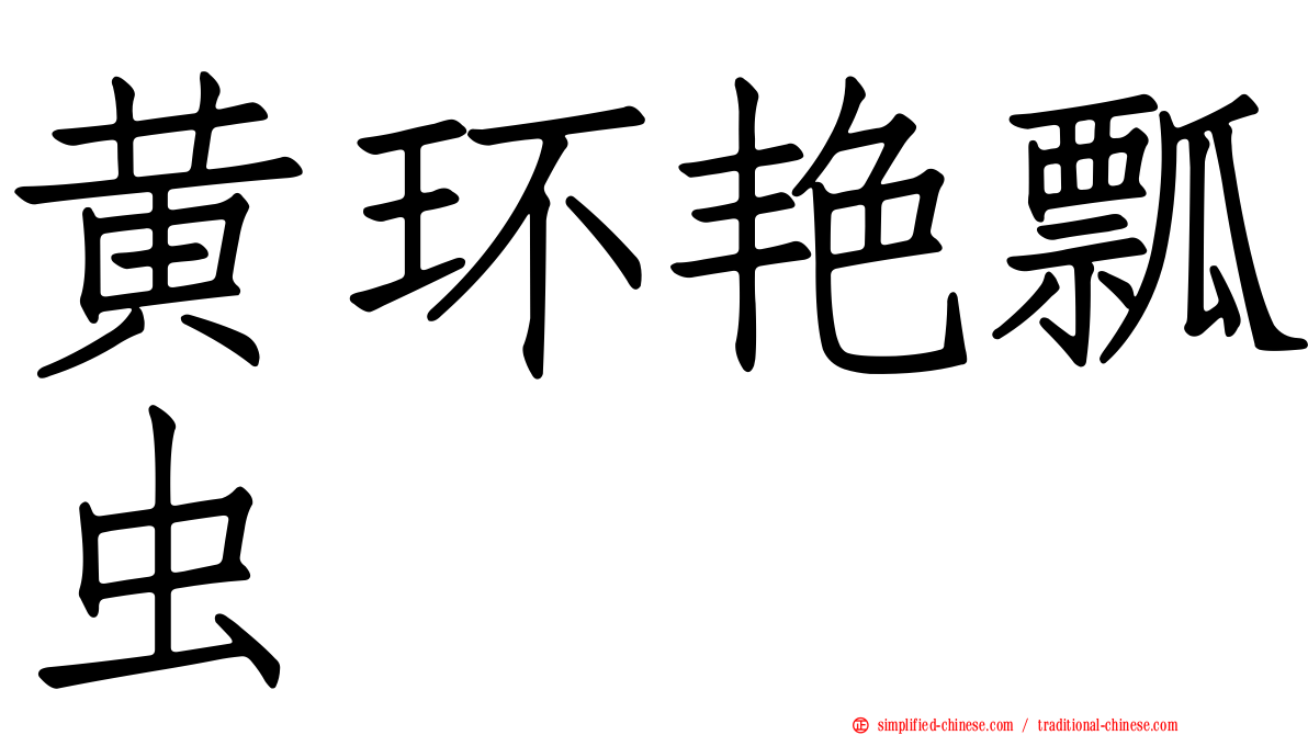 黄环艳瓢虫