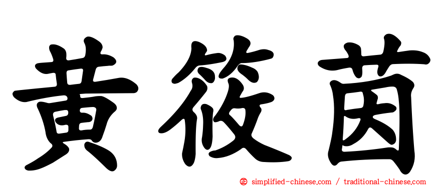 黄筱茵