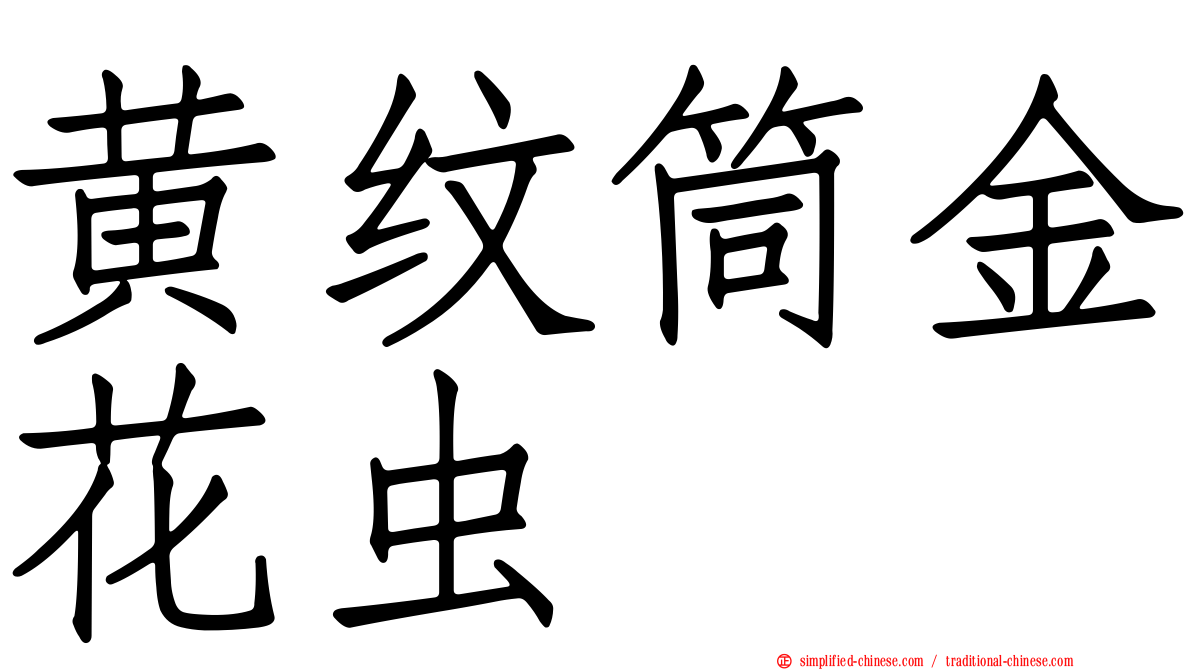 黄纹筒金花虫