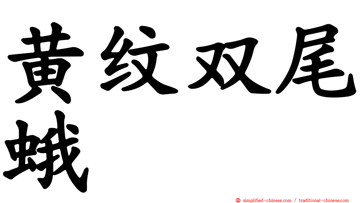 黄纹双尾蛾