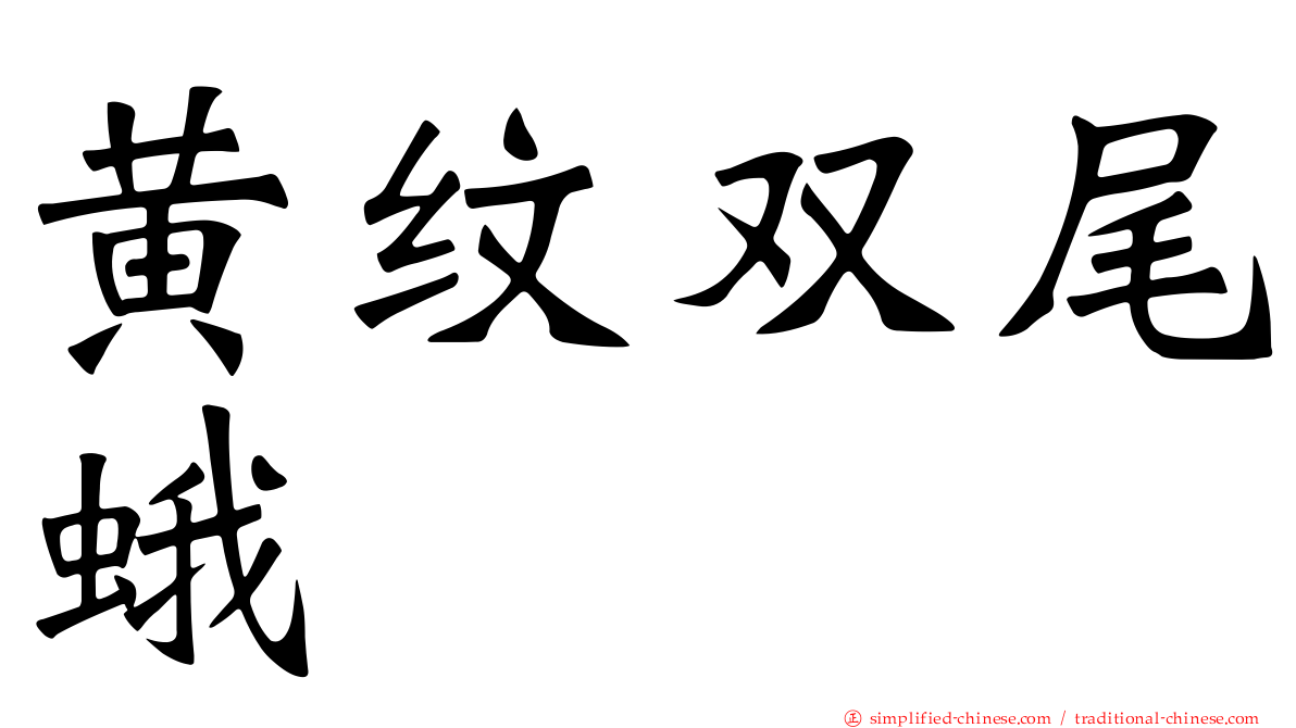 黄纹双尾蛾