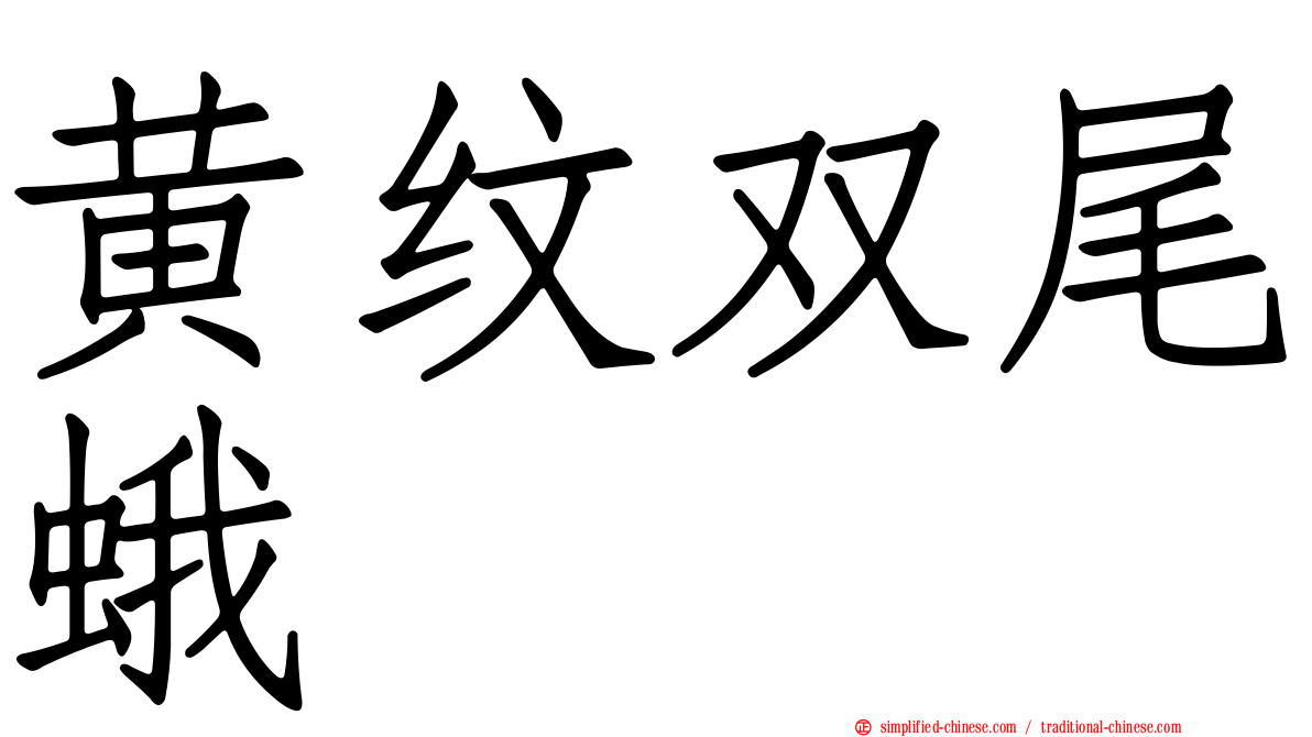 黄纹双尾蛾