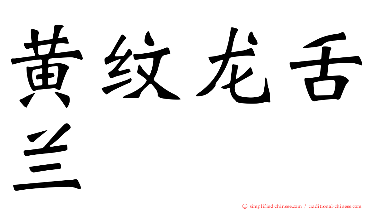 黄纹龙舌兰