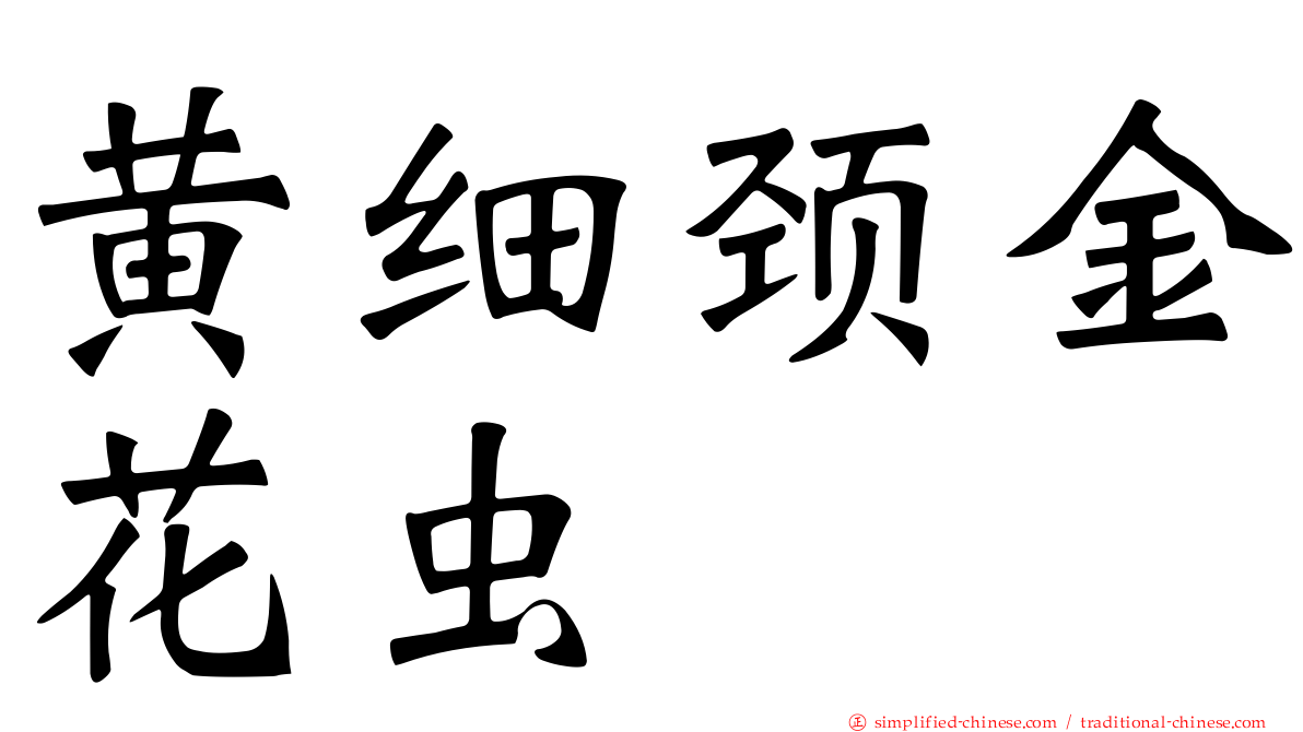 黄细颈金花虫