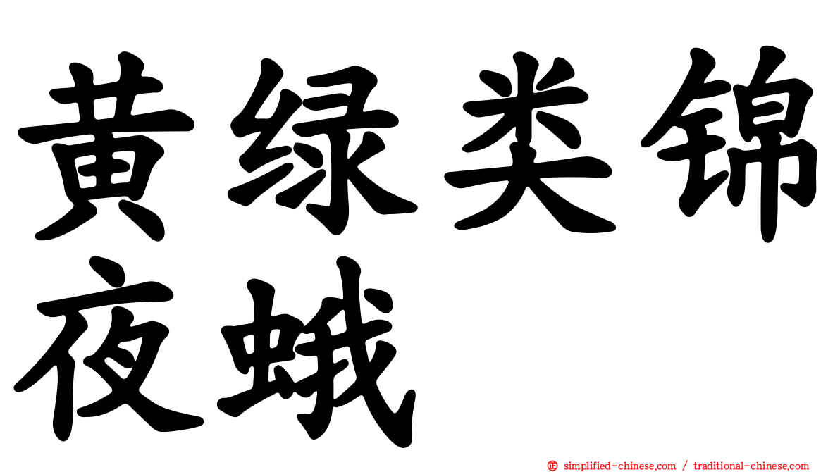 黄绿类锦夜蛾