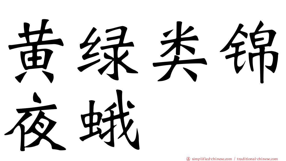 黄绿类锦夜蛾
