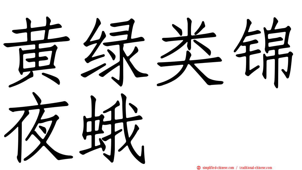 黄绿类锦夜蛾