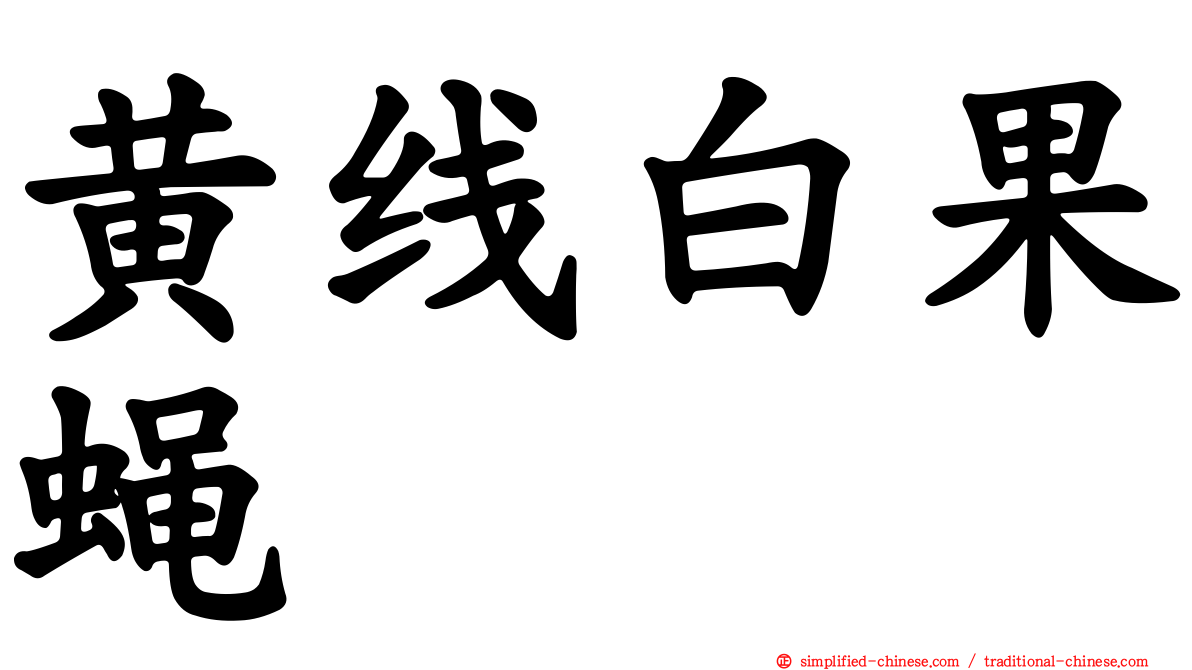 黄线白果蝇