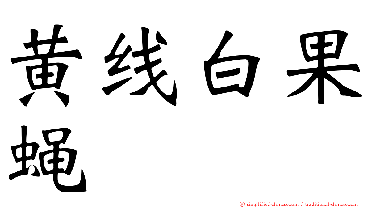 黄线白果蝇