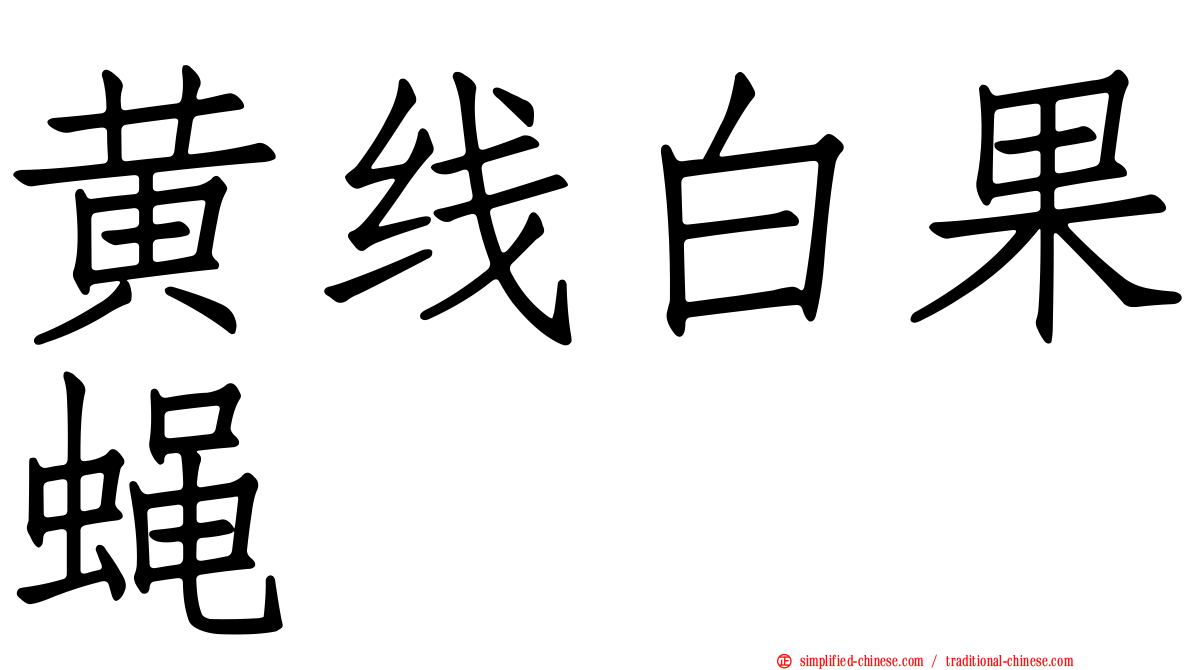 黄线白果蝇