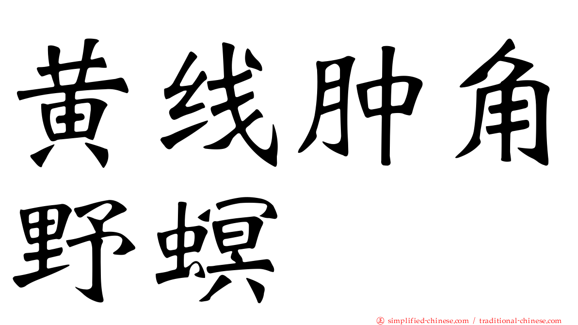黄线肿角野螟