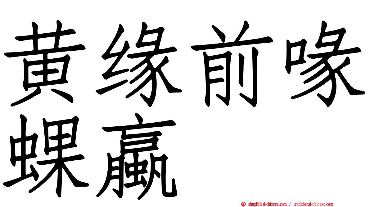 黄缘前喙蜾蠃