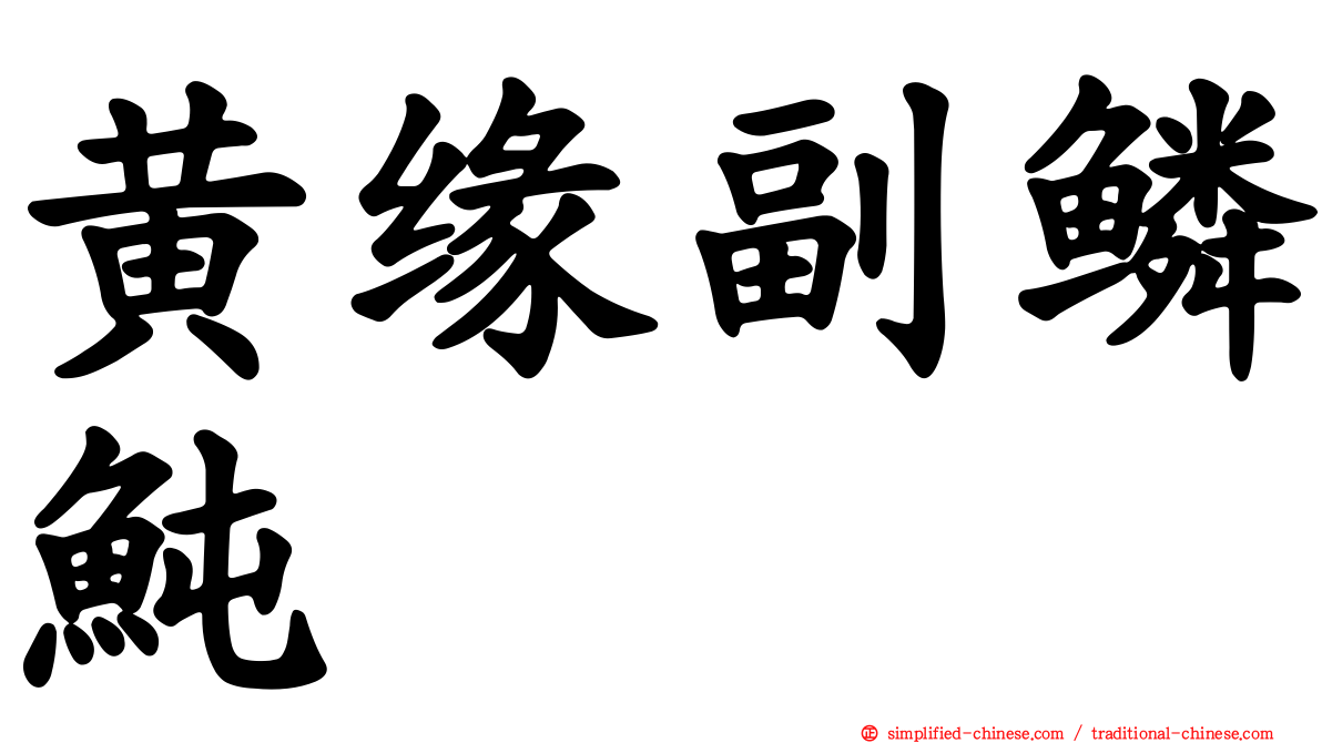 黄缘副鳞鲀