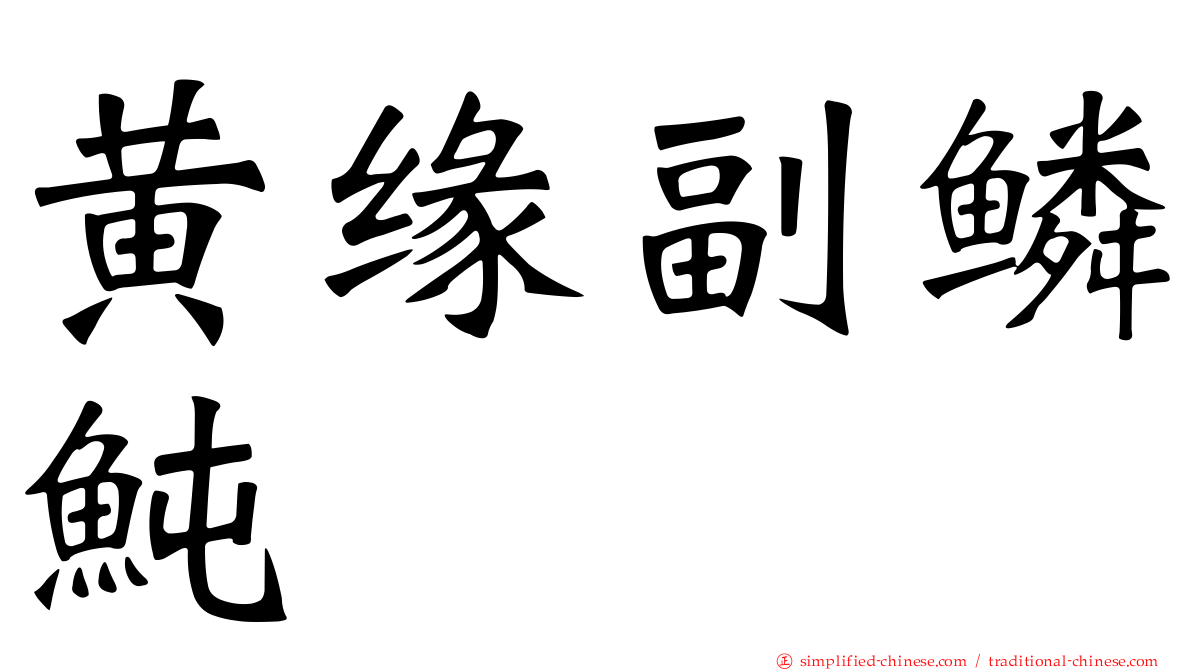 黄缘副鳞鲀