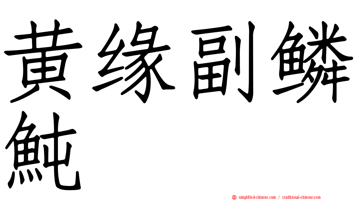 黄缘副鳞鲀