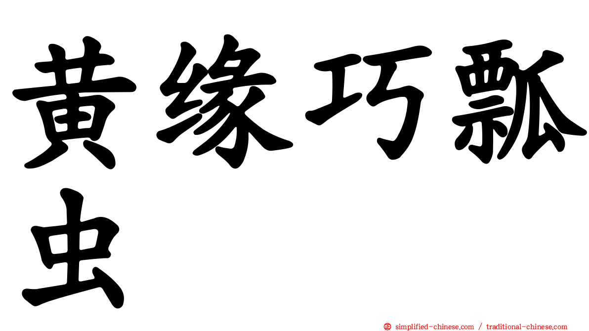 黄缘巧瓢虫