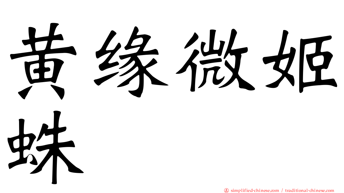 黄缘微姬蛛