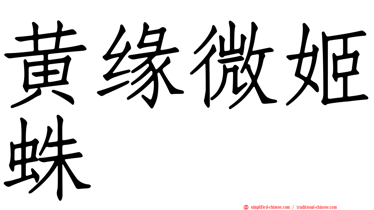 黄缘微姬蛛