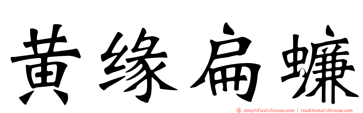 黄缘扁蠊