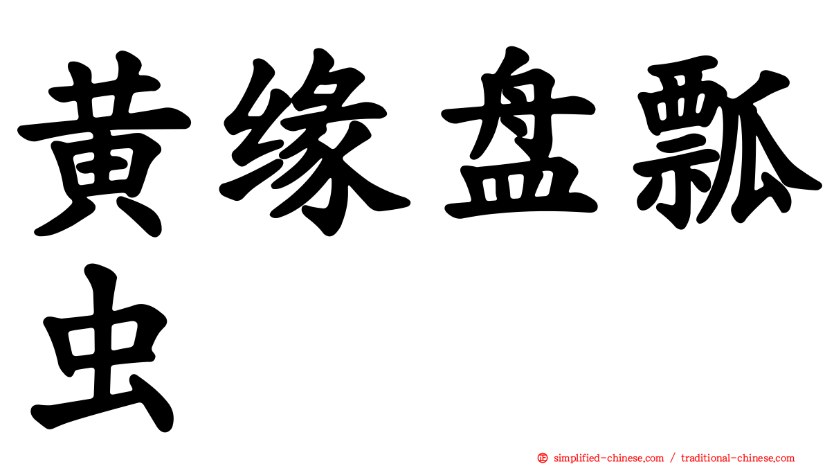 黄缘盘瓢虫