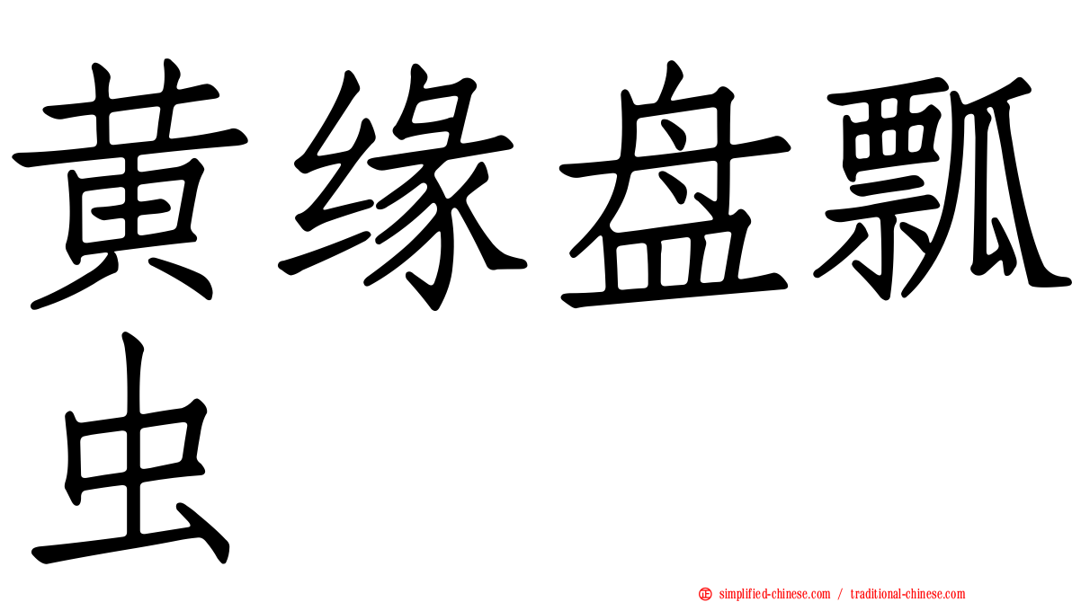 黄缘盘瓢虫