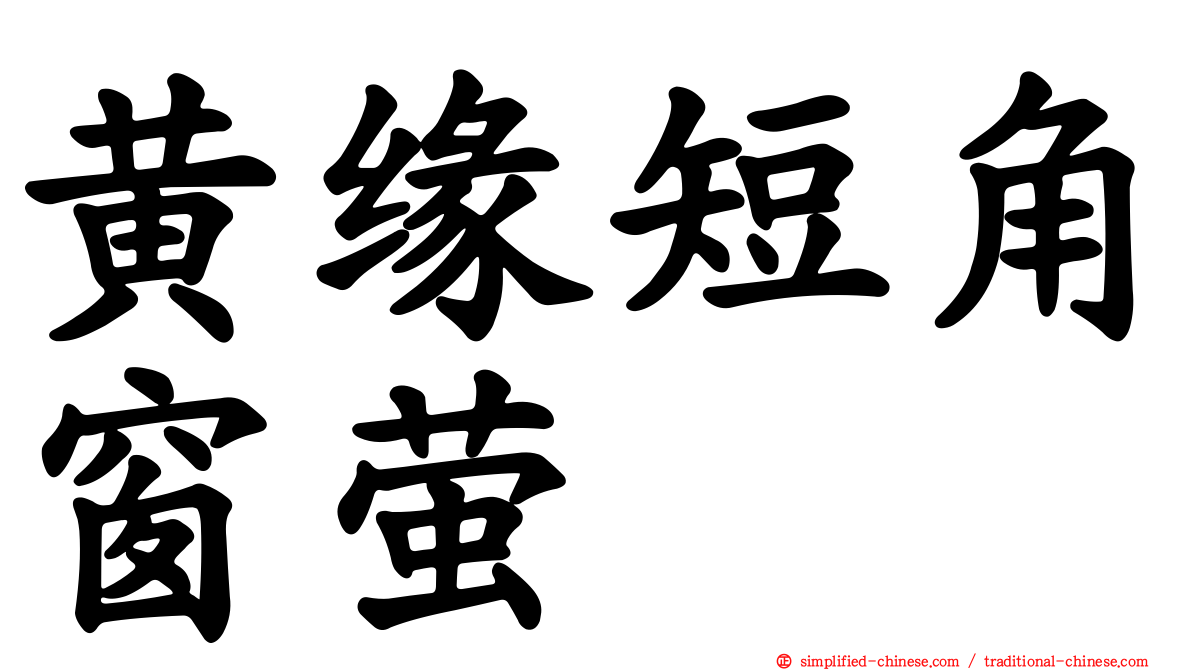 黄缘短角窗萤