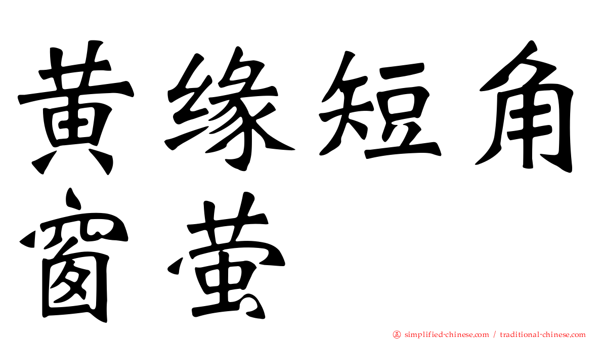 黄缘短角窗萤