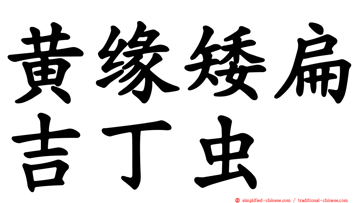 黄缘矮扁吉丁虫
