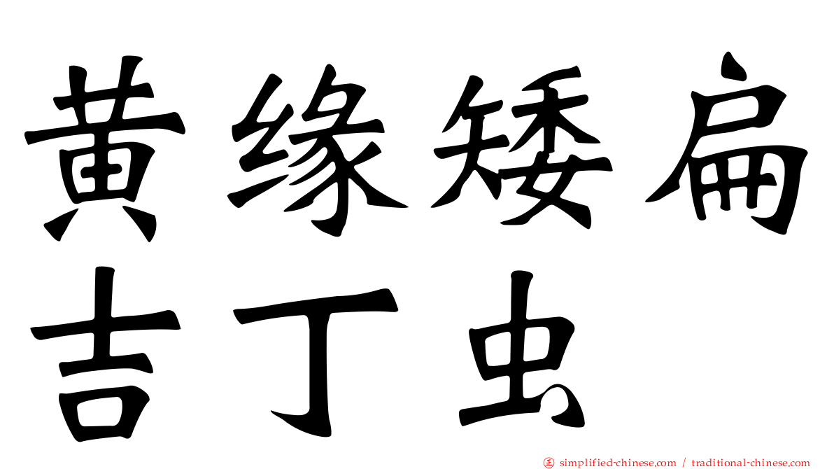 黄缘矮扁吉丁虫