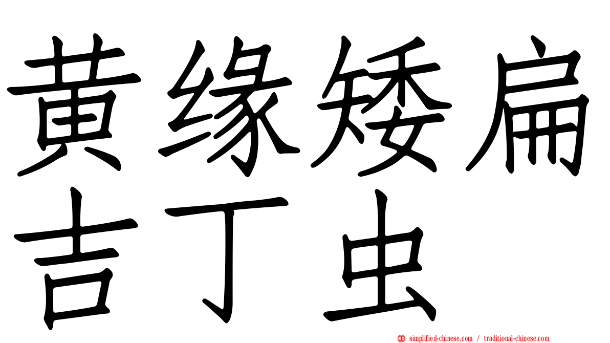 黄缘矮扁吉丁虫