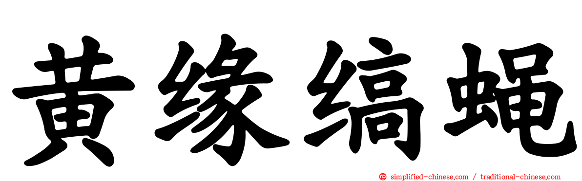 黄缘缟蝇