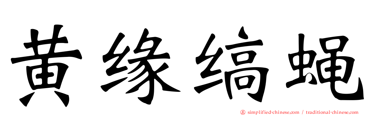 黄缘缟蝇