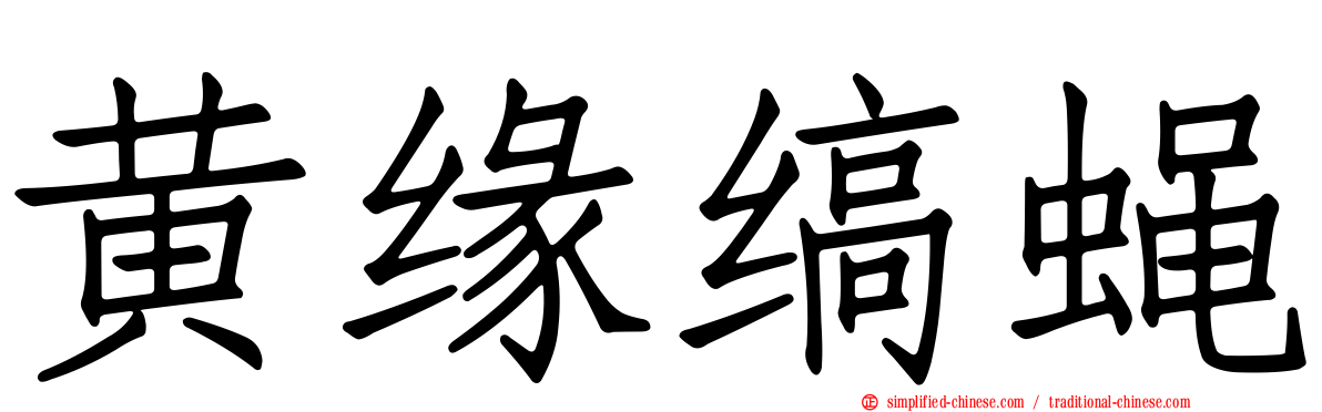 黄缘缟蝇