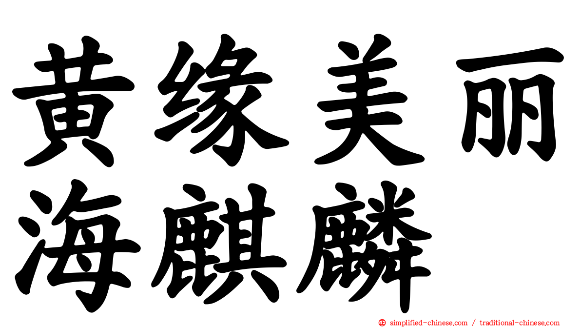 黄缘美丽海麒麟