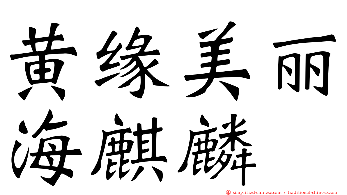 黄缘美丽海麒麟