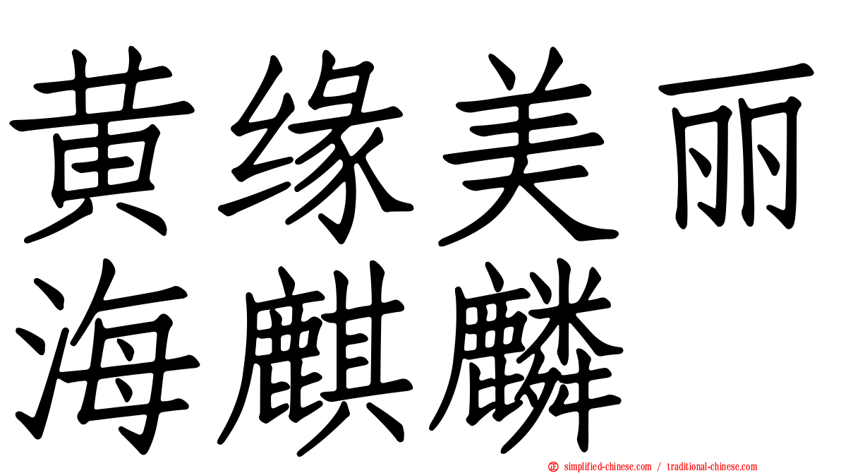 黄缘美丽海麒麟