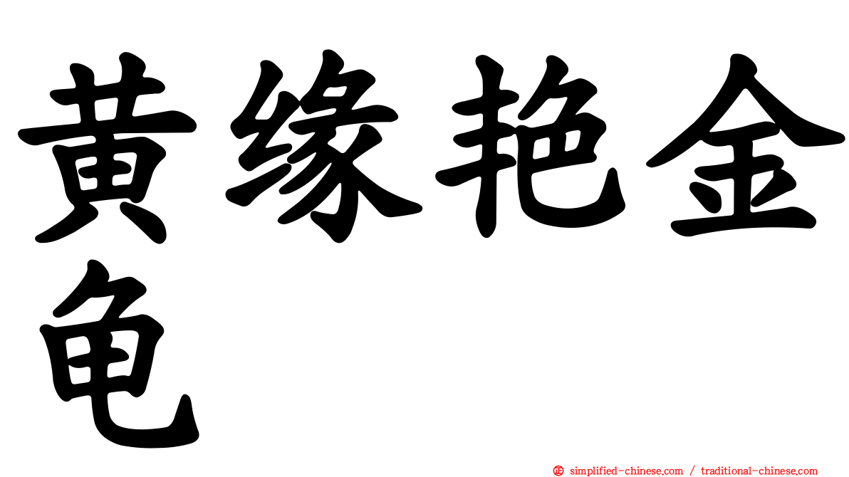 黄缘艳金龟