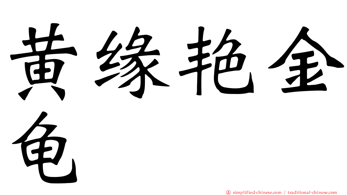 黄缘艳金龟