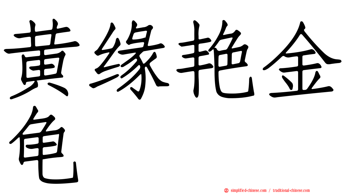 黄缘艳金龟