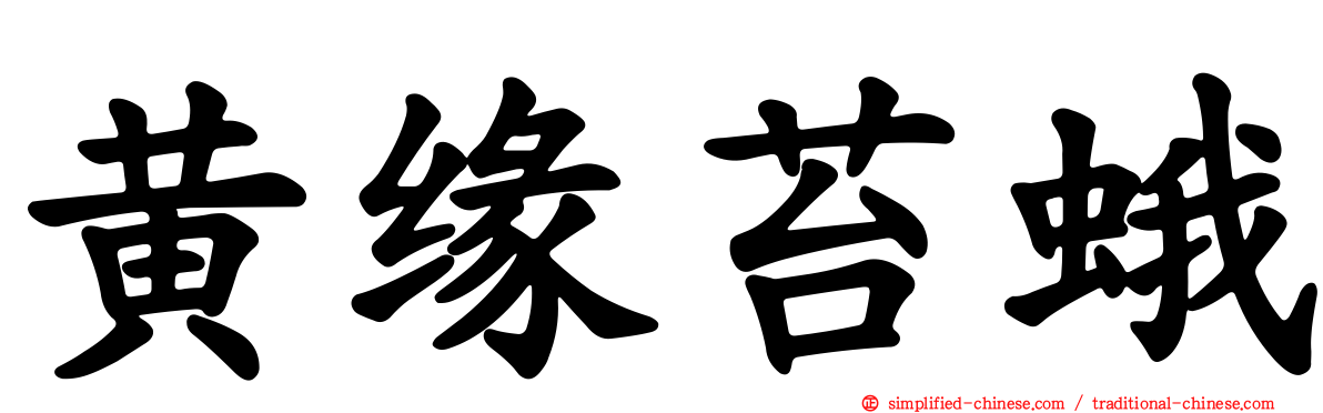 黄缘苔蛾