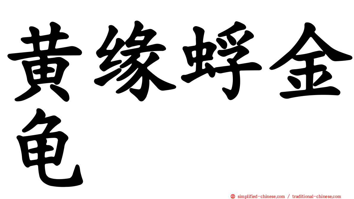 黄缘蜉金龟