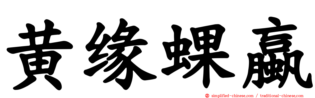 黄缘蜾蠃