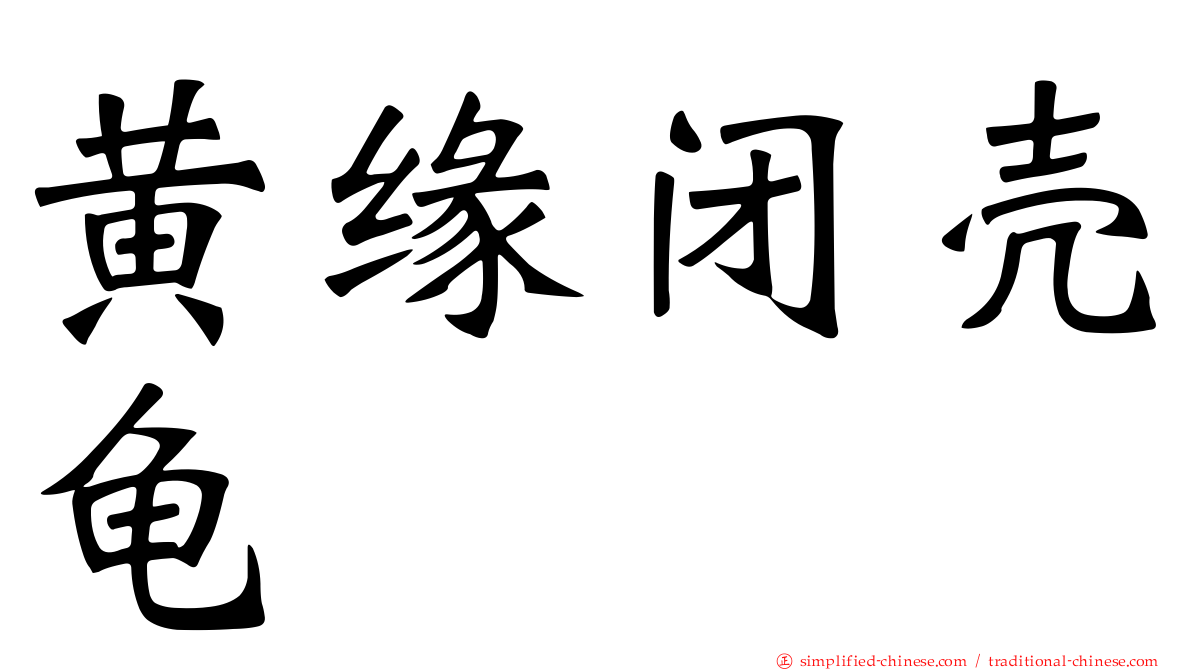 黄缘闭壳龟