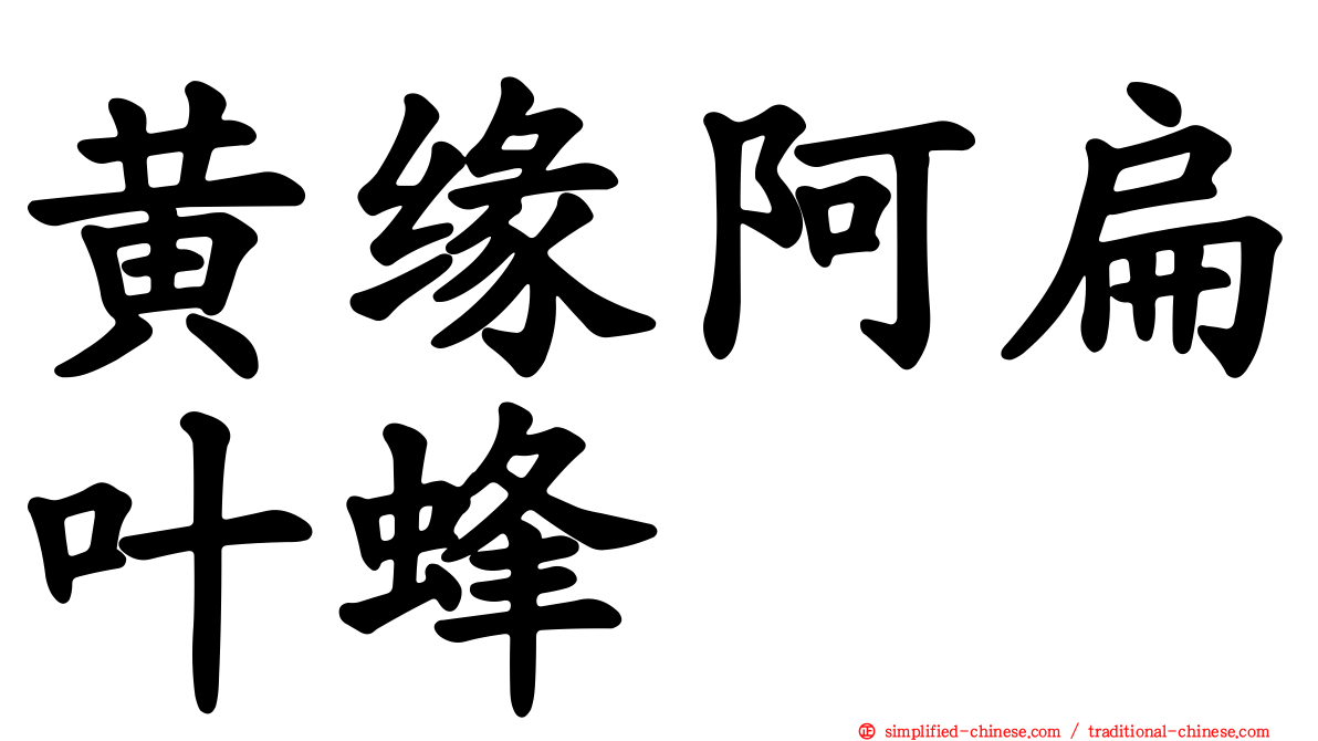 黄缘阿扁叶蜂