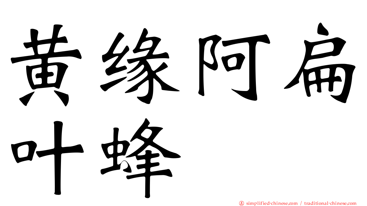 黄缘阿扁叶蜂