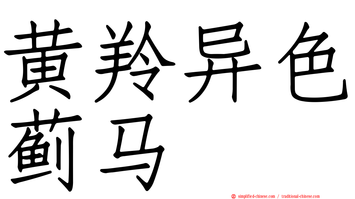 黄羚异色蓟马